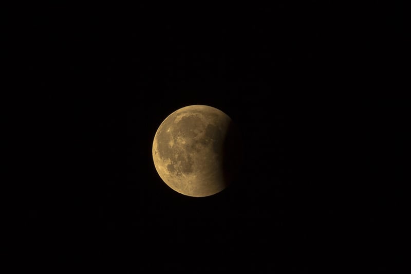 Moon Phase Backdrop